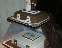 luggage-topper-on-cake